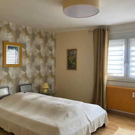 מצינגן Ferienwohnung - Damisa House מראה חיצוני תמונה